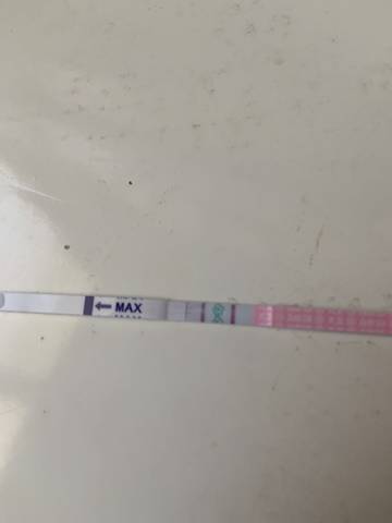 journal_insert_pic_1674190674