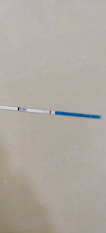 journal_insert_pic_1677556371