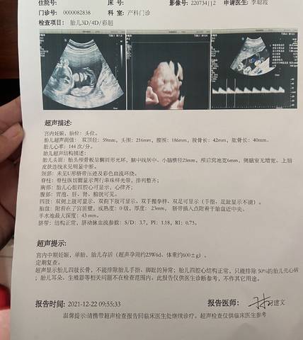 journal_insert_pic_1684266889