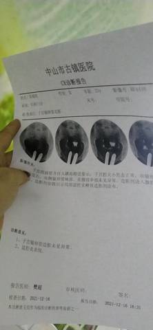 journal_insert_pic_1681001776