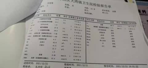 journal_insert_pic_1685292174