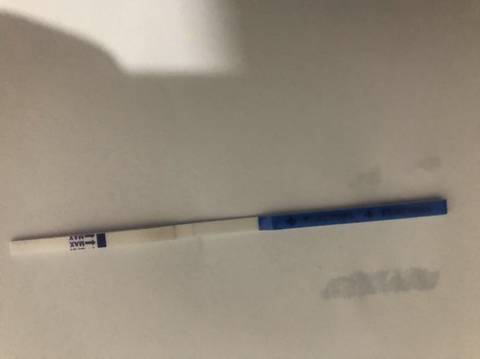 journal_insert_pic_1686256678