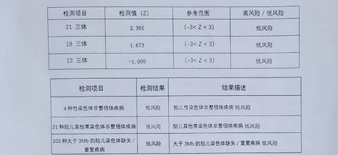 journal_insert_pic_1687828782