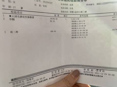 journal_insert_pic_1688350726