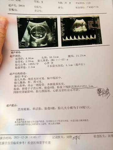 journal_insert_pic_1686538107