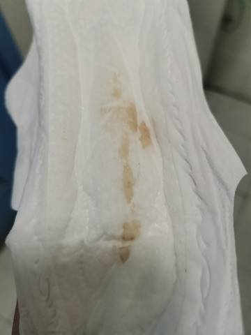 journal_insert_pic_1683630060