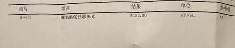 journal_insert_pic_1678592787