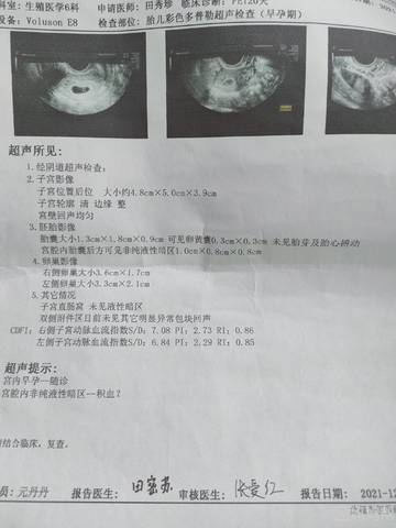 journal_insert_pic_1688329267