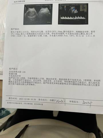journal_insert_pic_1676650341
