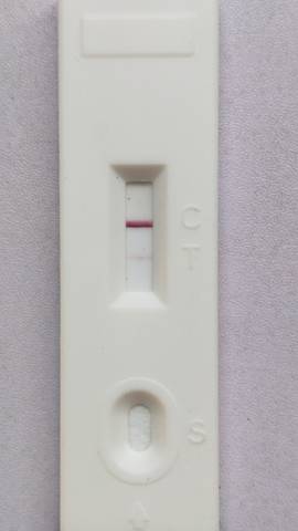 journal_insert_pic_1688939924