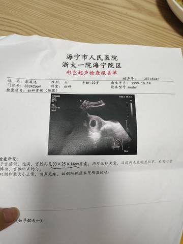 journal_insert_pic_1676950299