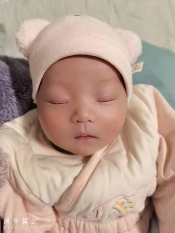 journal_insert_pic_1688171507