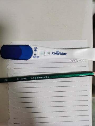 journal_insert_pic_1682321135
