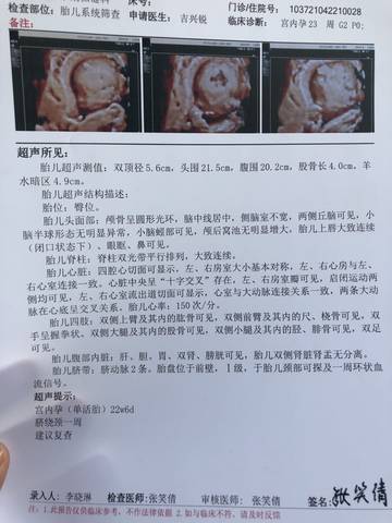 journal_insert_pic_1684139512