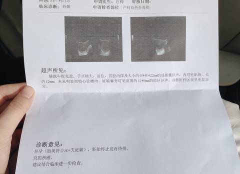 journal_insert_pic_1685322239