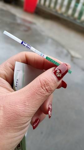 journal_insert_pic_1719492283