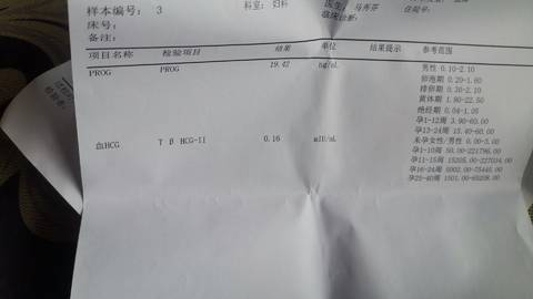 journal_insert_pic_1682056066