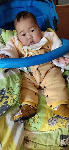 journal_insert_pic_1674667738