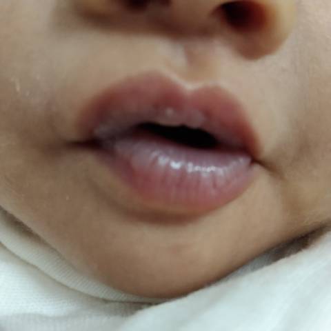 journal_insert_pic_1681792051