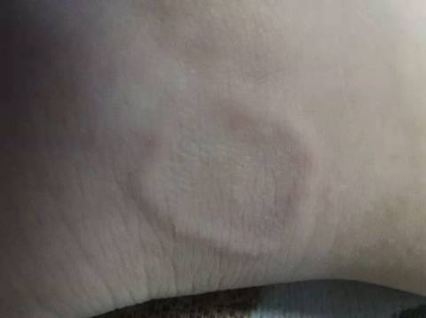 journal_insert_pic_1673105586