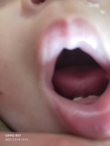 journal_insert_pic_1677490617