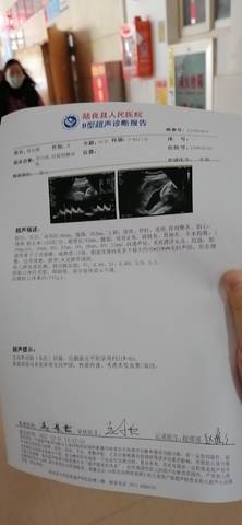 journal_insert_pic_1689552750