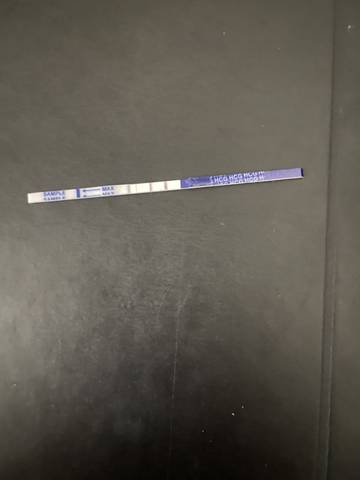 journal_insert_pic_1682364150