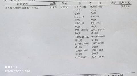 journal_insert_pic_1684908492