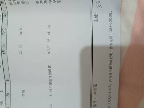 journal_insert_pic_1689064182