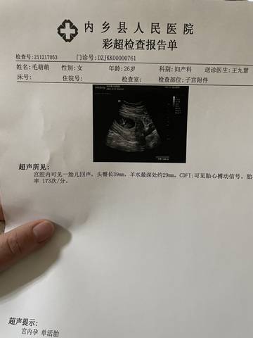 journal_insert_pic_1681354664