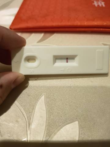 journal_insert_pic_1683402899