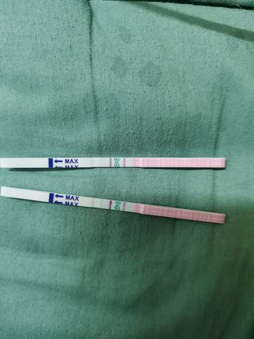 journal_insert_pic_1689071858