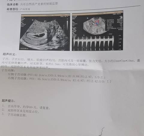 journal_insert_pic_1673038166