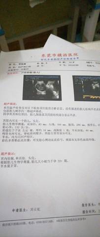 journal_insert_pic_1681112697