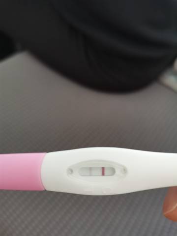 journal_insert_pic_1673180313