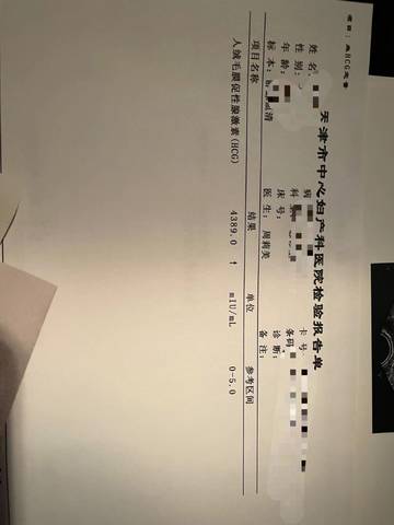 journal_insert_pic_1687432000