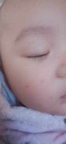 journal_insert_pic_1681622614