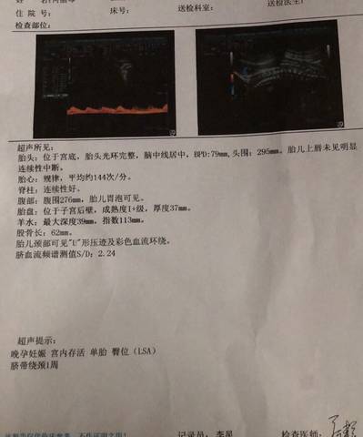 journal_insert_pic_1684946306