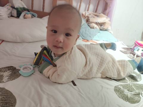 journal_insert_pic_1690094632