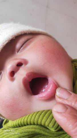 journal_insert_pic_1686465515