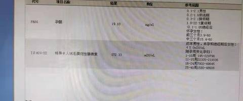 journal_insert_pic_1689076658