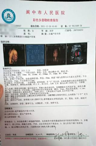 journal_insert_pic_1682956703