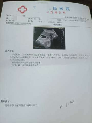 journal_insert_pic_1688163273