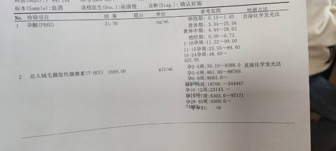 journal_insert_pic_1673059932
