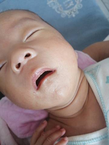 journal_insert_pic_1674143506