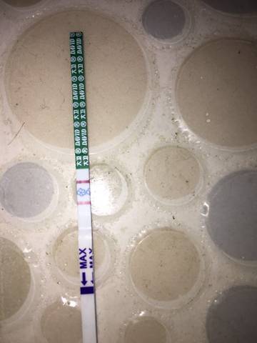 journal_insert_pic_1689320391