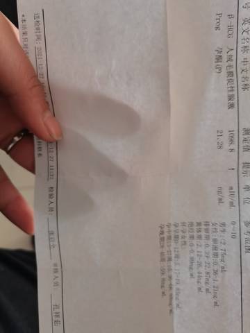 journal_insert_pic_1687176394