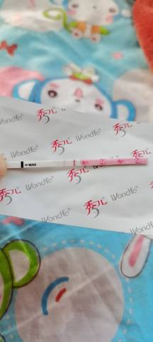 journal_insert_pic_1682882973