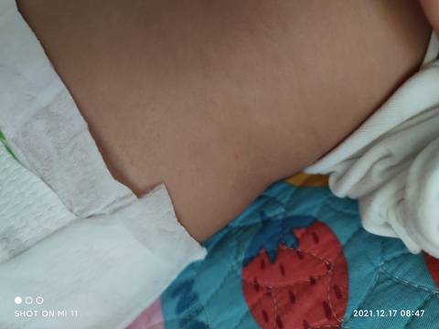 journal_insert_pic_1681356296