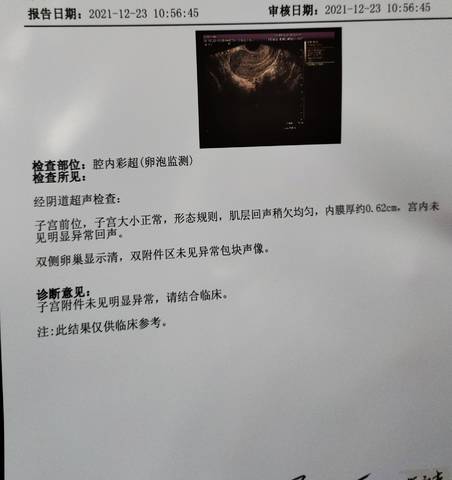 journal_insert_pic_1686230729